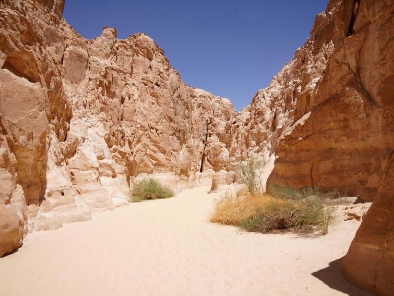 <p>Viaggio in Egitto - Deserto bianco e nero</p>